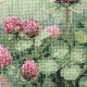 Cross-stitch kits Sweet clover