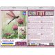 Cross-stitch kits Sweet clover