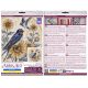 Cross-stitch kits The melody of swallows