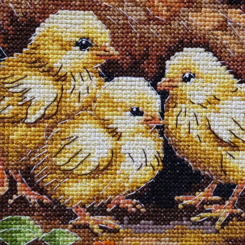 Cross-stitch kits Hen in the Yard