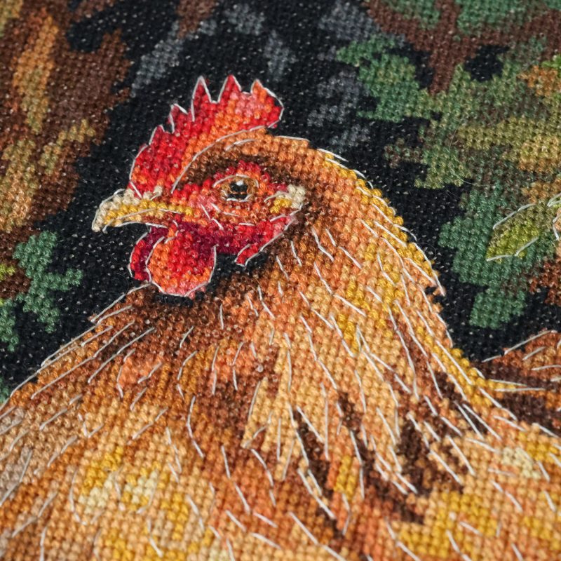 Cross-stitch kits Hen in the Yard