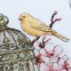 Cross-stitch kits Canary Song