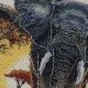 Cross-stitch kits Master of the Savannah