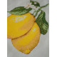 Cross-stitch kits Yellow Inspiration