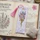 Cross-stitch kits Bookmark "Celestial Watch"