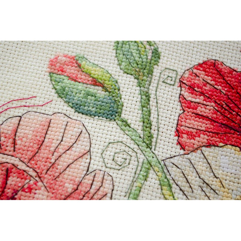 Cross-stitch kits When Poppies Bloom