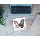 Mini Bead embroidery kit Tigre wings