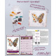 Mini Bead embroidery kit Tigre wings