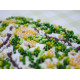 Mini Bead embroidery kit Easter primrose