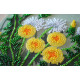 Mini Bead embroidery kit Favorite dandelion