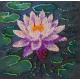 Mini Bead embroidery kit Water lily