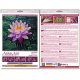 Mini Bead embroidery kit Water lily