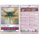 Mini Bead embroidery kit Emerald wings