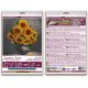 Mini Bead embroidery kit Homely sunflowers