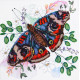 Mid-sized bead embroidery kit Color harmony