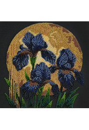 Mid-sized bead embroidery kit Dancing in golden light