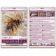 Mid-sized bead embroidery kit Golden honey