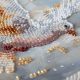Mid-sized bead embroidery kit Dance of Doves