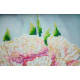 Main Bead Embroidery Kit White peonies