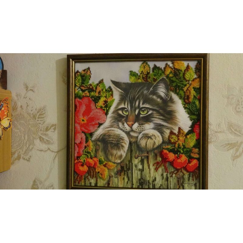 Charts on artistic canvas Fluffy Robber