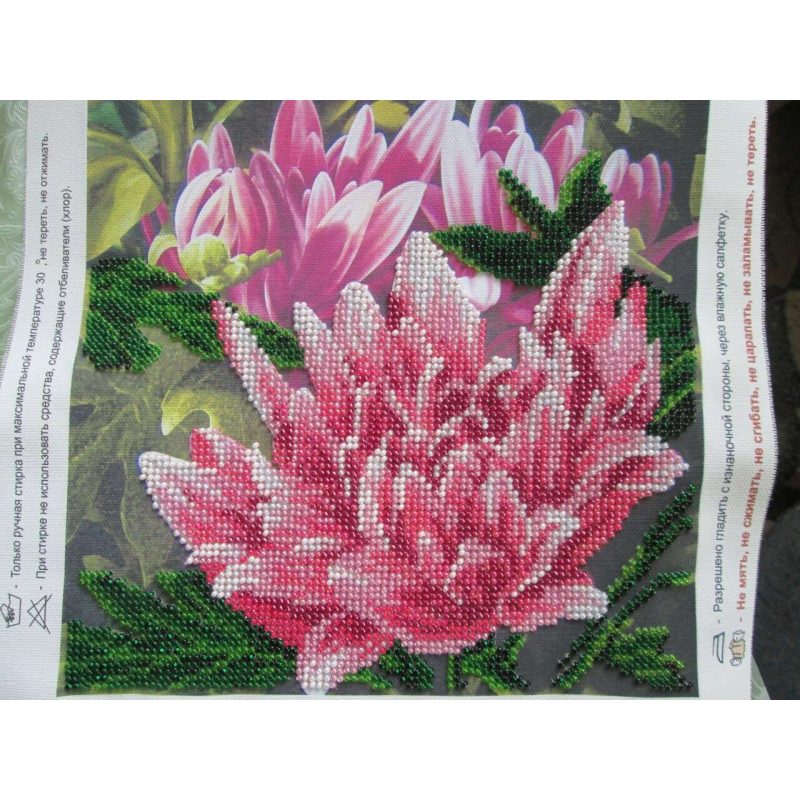 Charts on artistic canvas Pink lotus