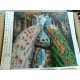 Charts on artistic canvas Rivals