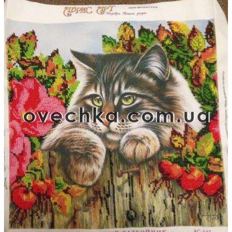 Charts on artistic canvas Fluffy Robber
