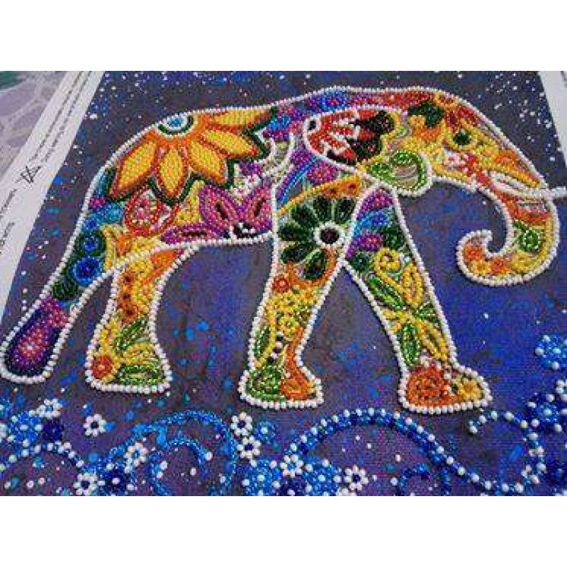 Charts on artistic canvas Indian elephant