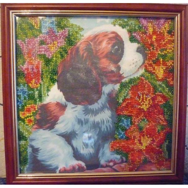 Charts on artistic canvas Puppy