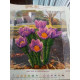 Charts on artistic canvas Spring in Provence