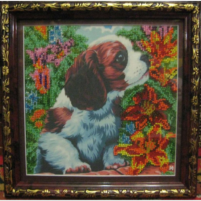 Charts on artistic canvas Puppy