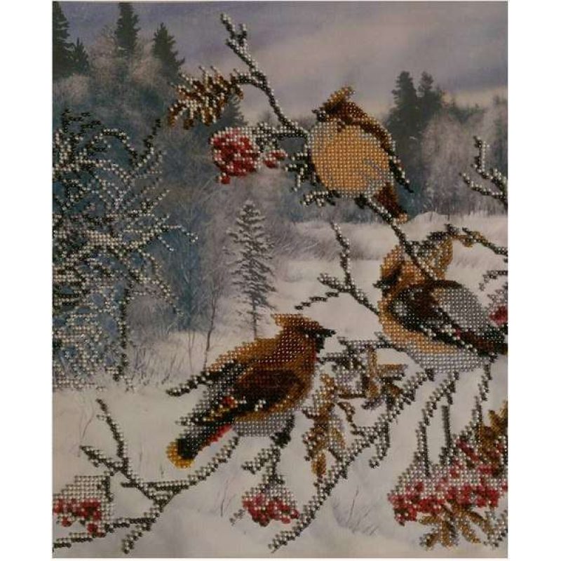 Charts on artistic canvas Waxbirds