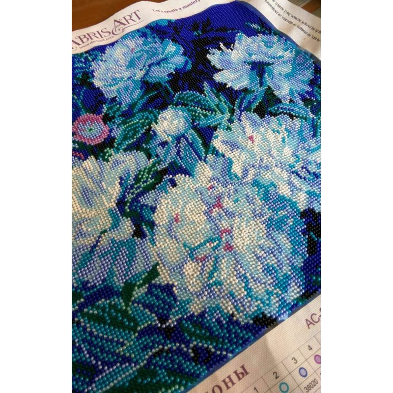 Charts on artistic canvas Moon peonies