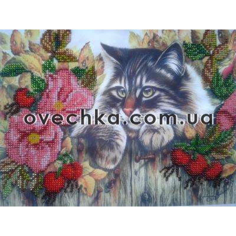 Charts on artistic canvas Fluffy Robber