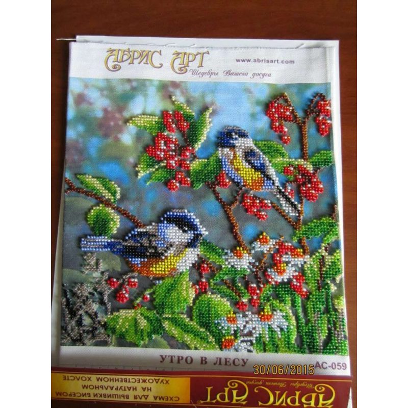 Charts on artistic canvas Morning Forest