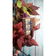 Talisman bead embroidery kits Driver' Prayer