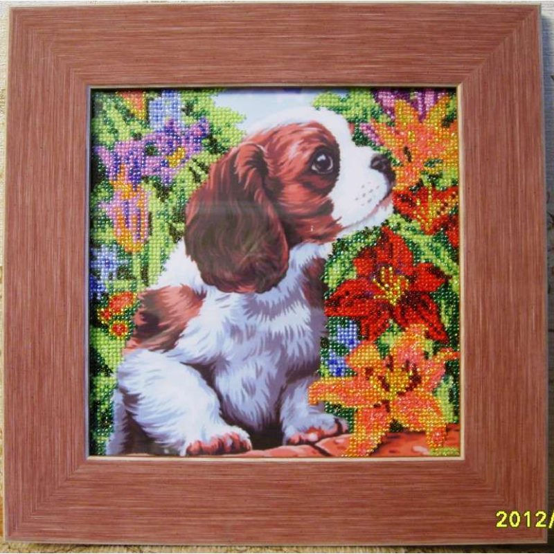 Charts on artistic canvas Puppy