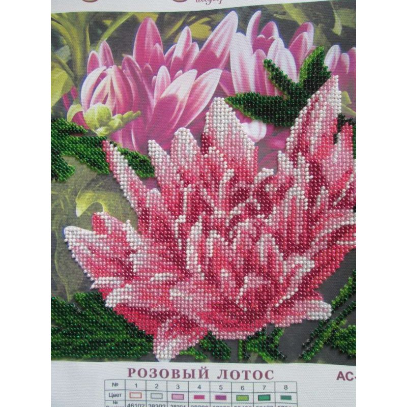 Charts on artistic canvas Pink lotus