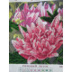 Charts on artistic canvas Pink lotus