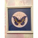 Mini Bead embroidery kit Butterfly