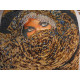 Main Bead Embroidery Kit Scheherazade
