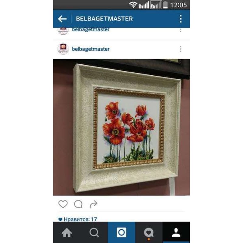 Cross-stitch kits Scarlet poppies