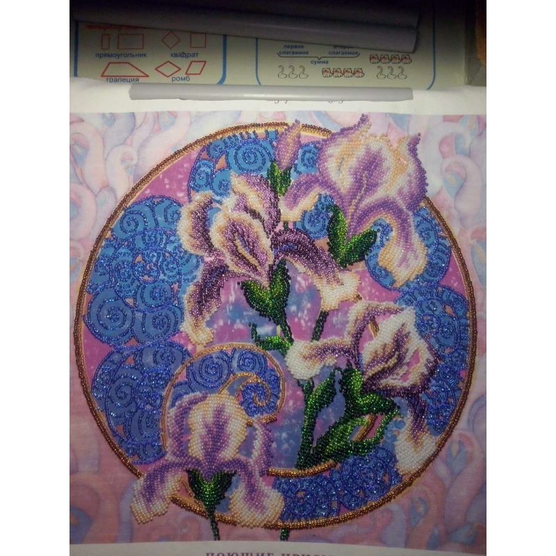 Charts on artistic canvas Singing irises