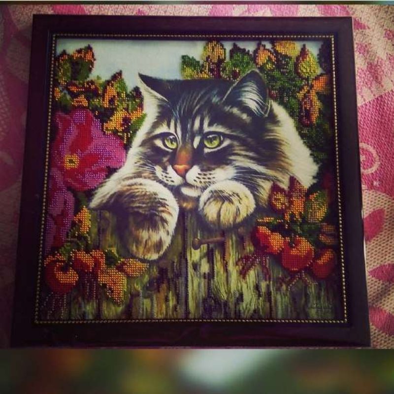 Charts on artistic canvas Fluffy Robber
