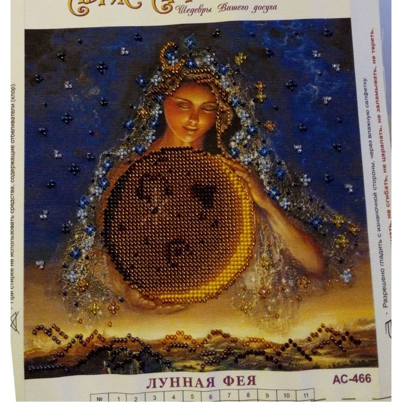 Charts on artistic canvas Moon fairy