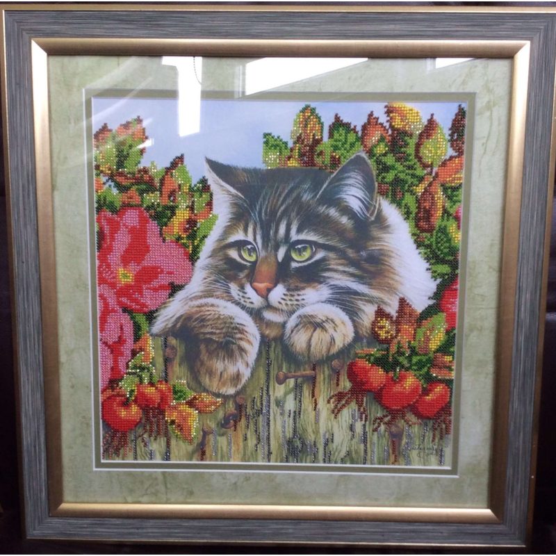 Charts on artistic canvas Fluffy Robber