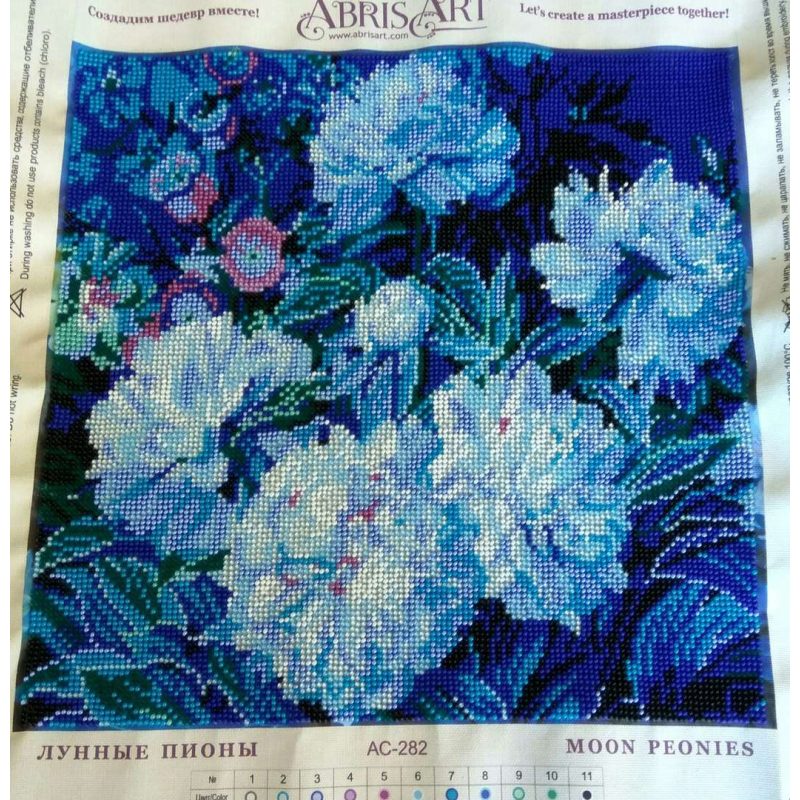 Charts on artistic canvas Moon peonies