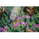 Main Bead Embroidery Kit Rest on the rocks