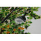 Main Bead Embroidery Kit City sketches – 1