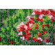Main Bead Embroidery Kit Watering place